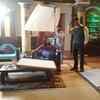 Halt on shoot