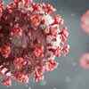 Article image for: What is the new COVID-19 strain?