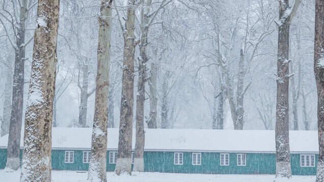 Kashmir experiences Chillai Kalan as cold waves likely to hit parts of north India
