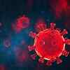 How dangerous is the mutant virus?