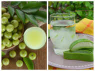 How to make fresh Amla and Aloe Vera juice at home