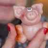 ​Sugar Pigs, Germany