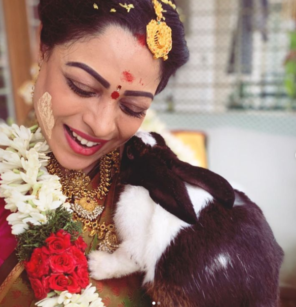 Anjali Rao Images