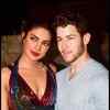 Article image for: <i class="tbold">priyanka chopra jonas</i>