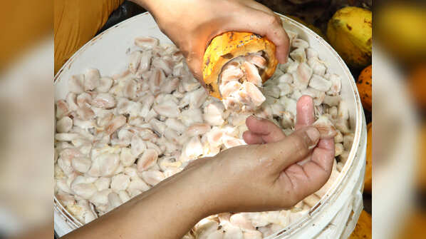 Experiment more with cacao