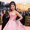 Article image for: <i class="tbold">met gala</i> 2019