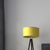 Article image for: Lamp shade