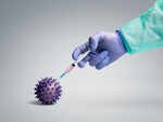 Lassa fever