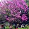 It’s raining pink