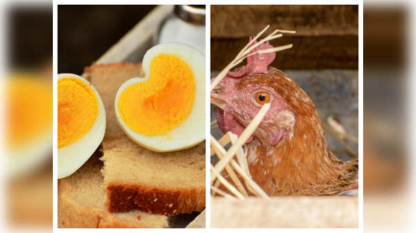 Can you get bird flu from eating poultry eggs?