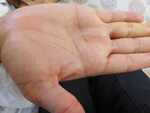 The money line in our palm