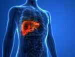 How the coronavirus affects the liver?