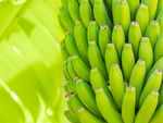 Easy Green Banana recipes