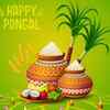 ​Pongal- Significance and popular foods