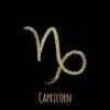 Capricorn (DECEMBER 22 TO JANUARY 19)