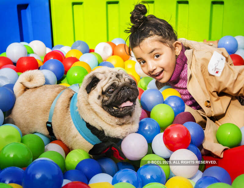Pooches come together with their hoomans at this paw party