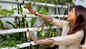 Healthy treat! Shilpa Shetty shares a glimpse of her hydroponic farm