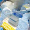 Article image for: Nasal vaccine candidate identified, could be a game changer: NITI Aayog