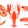 Lobster, Shrimp And Prawns: How Are They Different | The Times Of India