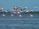 Top 20 Indian Lakes Which are the biggest Tourist attraction