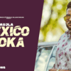 Article image for: Watch Latest 2021 Punjabi Audio Song 'Mexico Koka' Sung By Karan Aujla