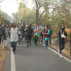 Article image for: See the latest photos of <i class="tbold">tree walk</i>
