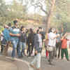 Article image for: New pictures of <i class="tbold">tree walk</i>