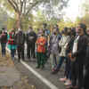 Article image for: Here are some photos of <i class="tbold">tree walk</i>