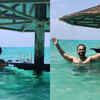 ​Beach diary