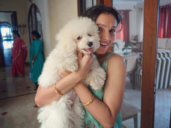 Andrea Jeremiah Photos