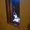 Article image for: Click here to see the latest images of <i class="tbold">ramprasad</i>