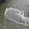In hope of a big catch