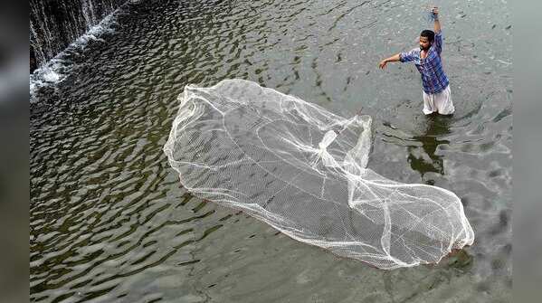 In hope of a big catch