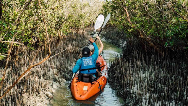 Six reasons Abu Dhabi is the perfect place for nature lovers who love life, colour, and vitality