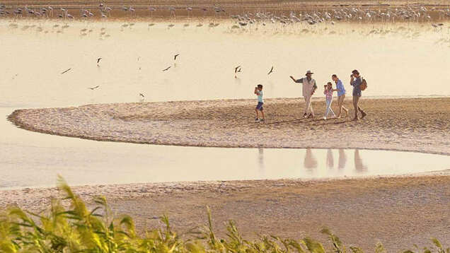 Six reasons Abu Dhabi is the perfect place for nature lovers who love life, colour, and vitality