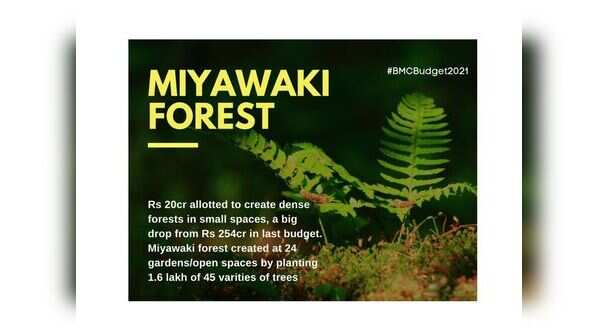 Miyawaki Forest