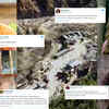 Article image for: Uttarakhand glacier burst: Sonu Sood, Shraddha Kapoor, Dia Mirza, Bhumi Pednekar, Nushrratt Bharuccha offer prayers for those affected by the natural disaster