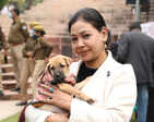 All for the love & care of animals
