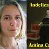 Indelicacy by Amina Cain
