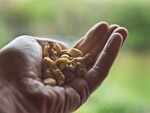 Do Vitamin C and Zinc help fight infections, and COVID-19?