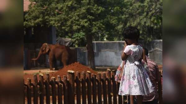 Byculla Zoo reopens