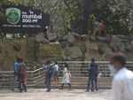 ​Mumbaikars flock to Byculla Zoo