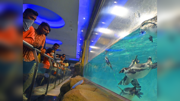 Byculla Zoo opens its doors