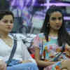 Article image for: Jasmin and <i class="tbold">rubina</i>