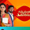 Article image for: <i class="tbold">guppedantha manasu</i>