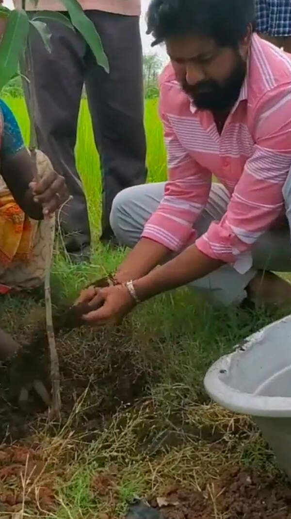 Aari