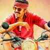 '<i class="tbold">kadaikutty singam</i>'