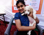Dog lovers organise an adoption camp for homeless animals