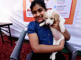 Dog lovers organise an adoption camp for homeless animals