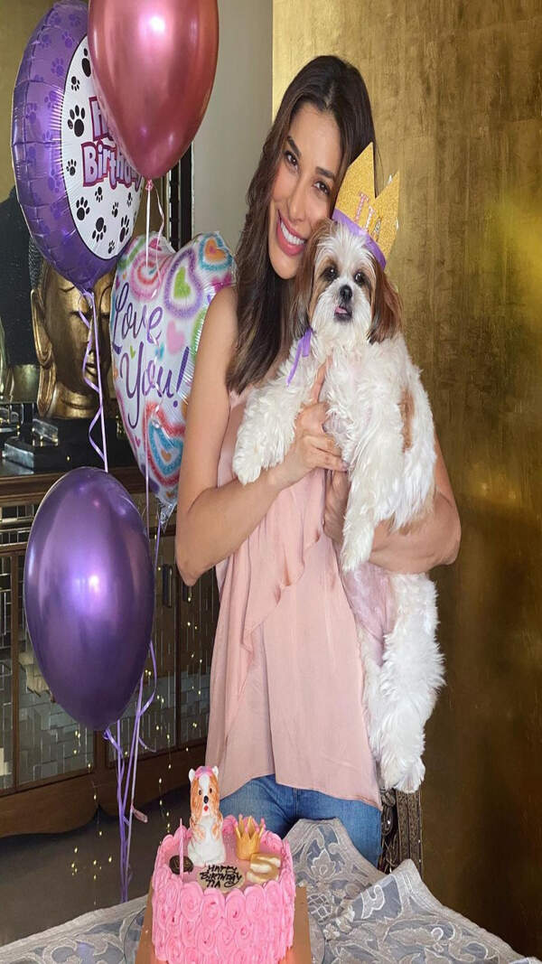 Sophie Choudry